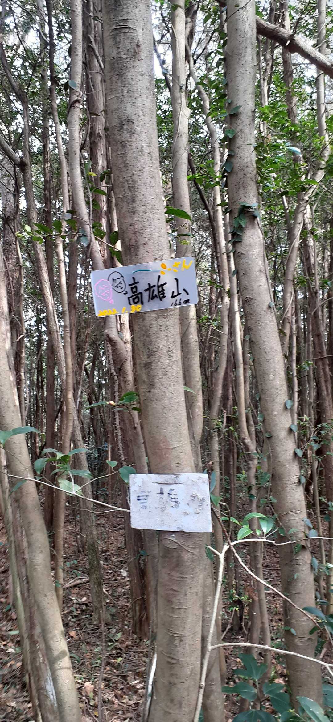 2座目高雄山　眺望無し