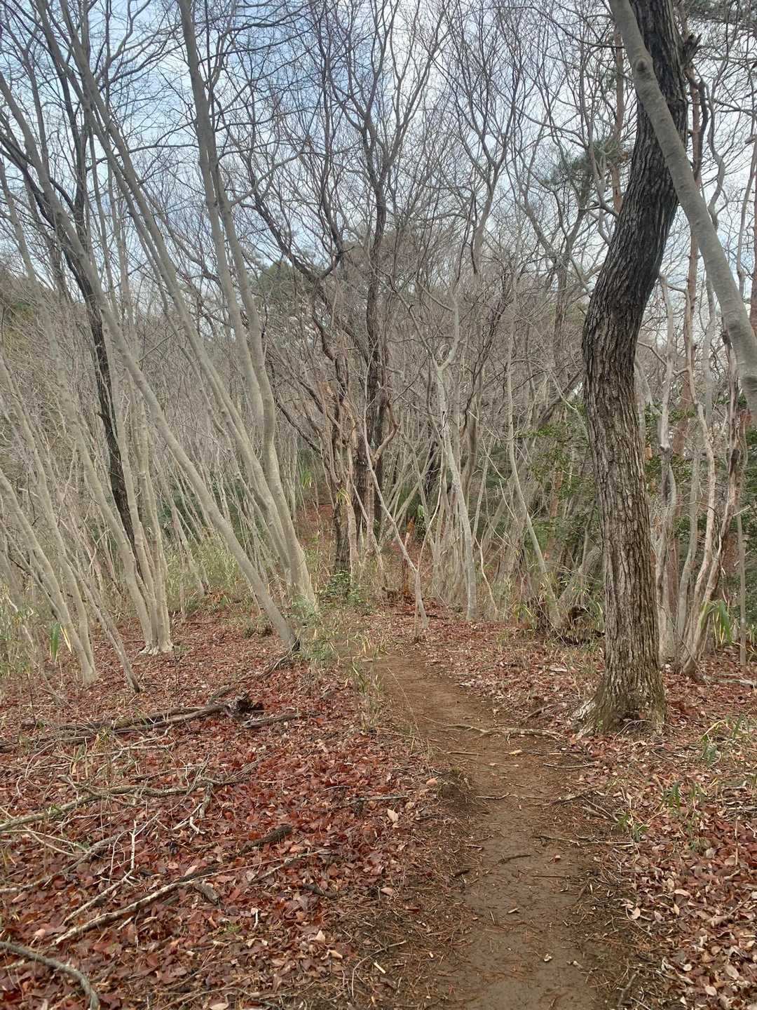 初黒川コース！