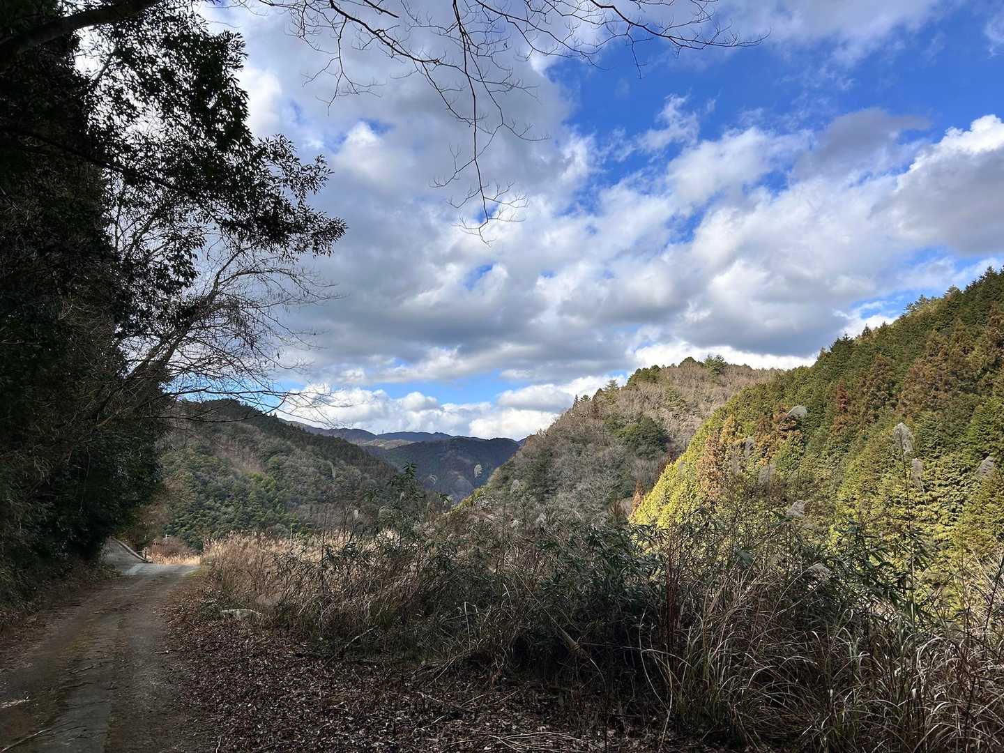林道まで降りました。
福見寺辺りから、雪も風も止みましたね✨