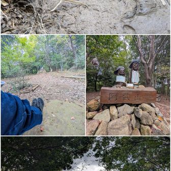 雨での泥濘に猪の足跡。
珍しくハッキリと。

阿武山山頂。