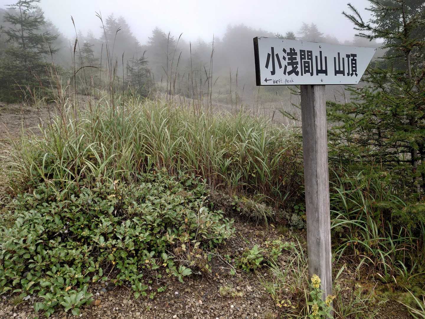 小浅間山登山口-馬返し-小浅間山 往復コースの写真