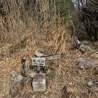 ショウケ峠から約45分で鬼岩谷山頂に到着。
三角点と山頂標識有り。２回目の昼食休憩。