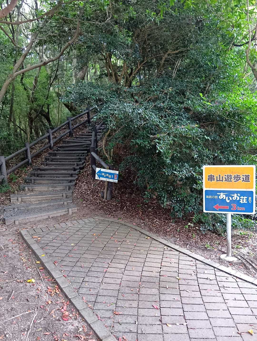さあ…歩きましょう？