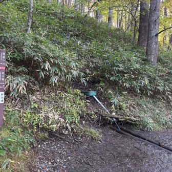 水場の周りがびちゃびちゃのドロドロ過ぎてサンダルにはつらい