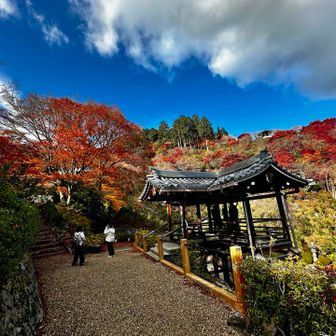 お寺のお庭を散策。初夏は紫陽花が見事な所