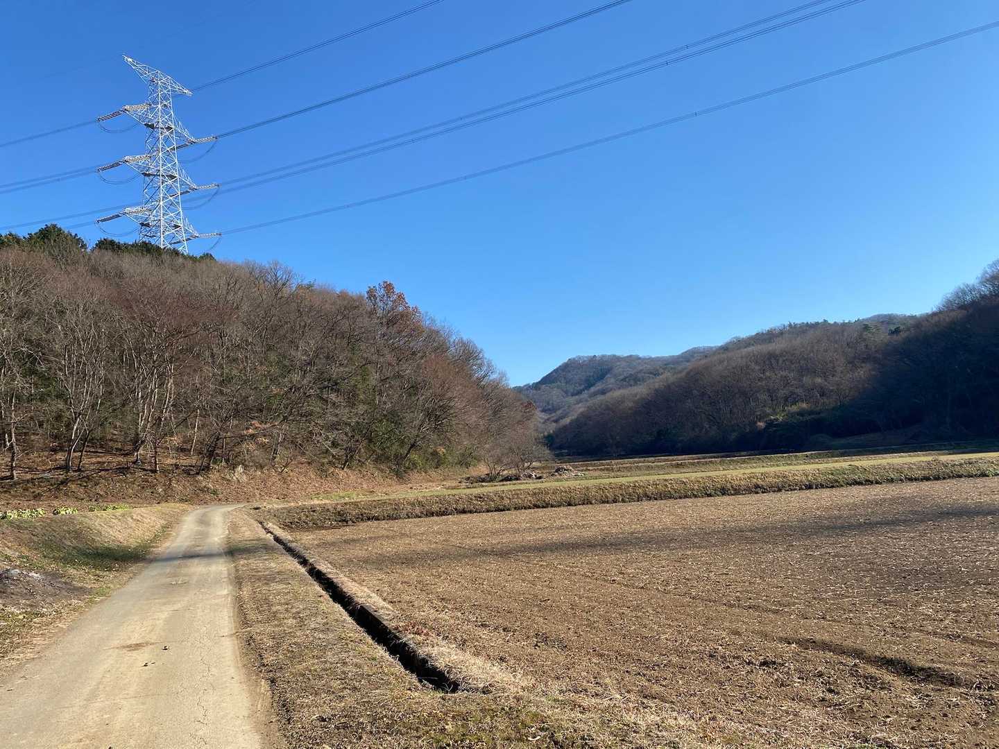 あれは大政山か？分からない🤷‍♂️