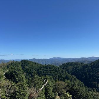 むっちゃ良い天気☀️