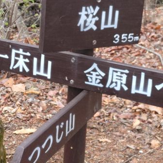 倒木の両端に座って休憩🍙🥯
なぜ両端かというと真ん中は通り道だから