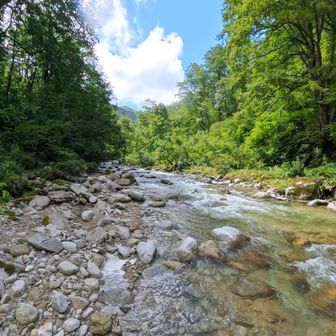 朝日川岩魚止沢 / 葛見さわの沢登りデータ | YAMAP / ヤマップ