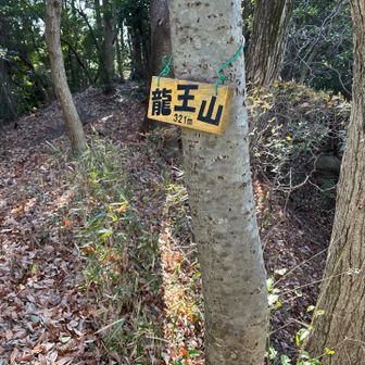 9 龍王山
ここはYAMAPのピークとはズレてる