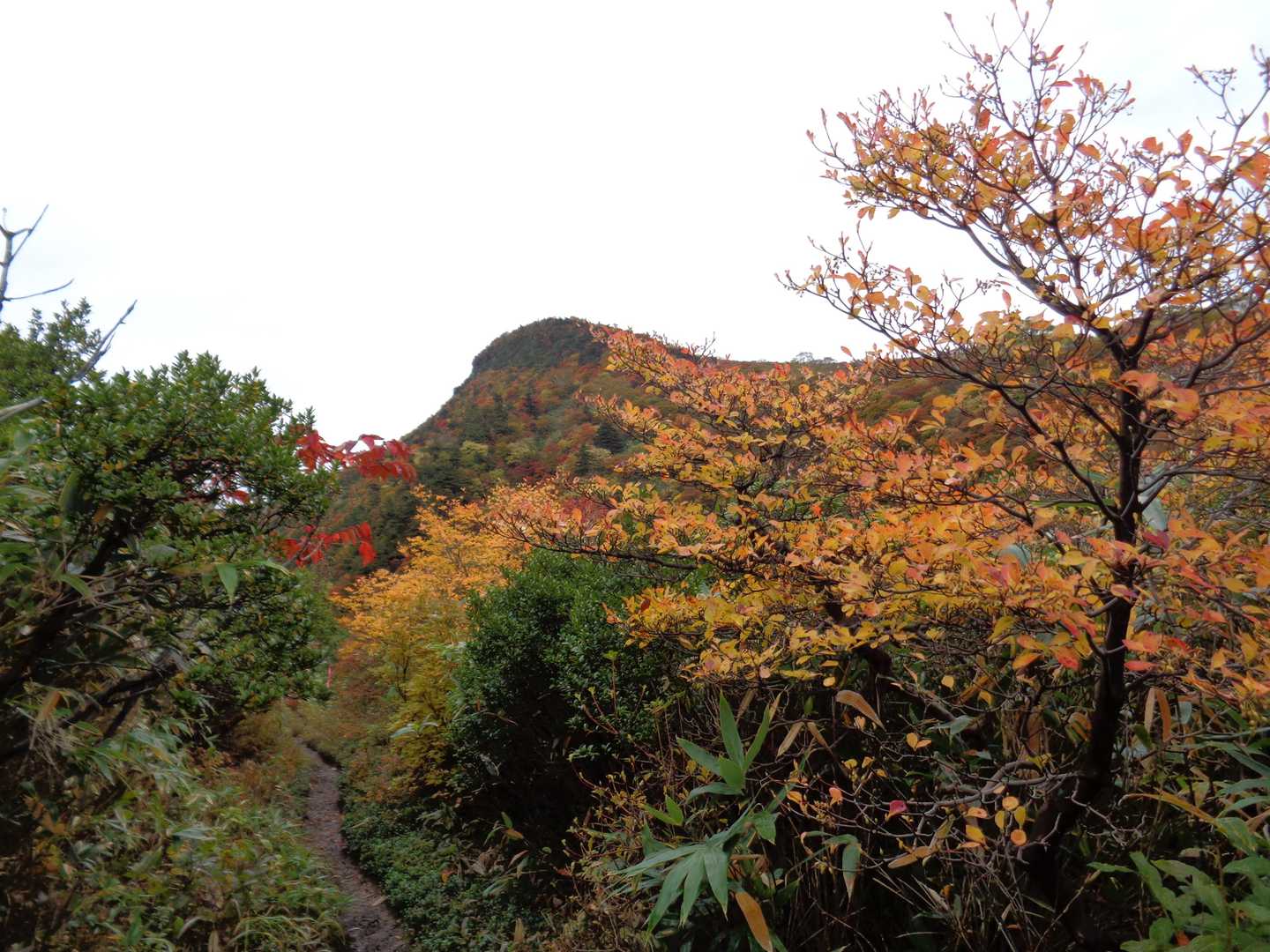 沼尻登山口-041_湯の花採取場 周回コースの写真