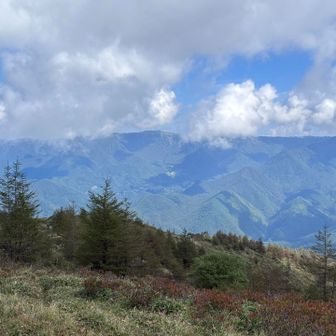 美ヶ原の山々を眺める。自分が登った山があると思うと、親近感が湧く😊