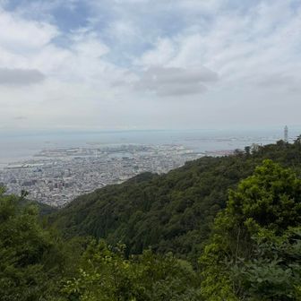 六甲アイランド、ポートアイランドがすぐ目の前
