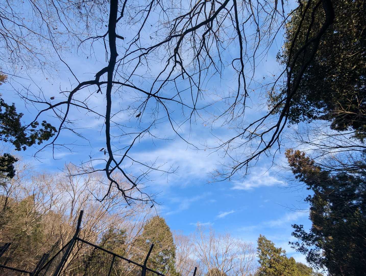 思わずワイワイ楽しく新年迎えられて…
良い１年になりそうです😉🎶

そして…早速来年の目標💪🏻✨
初日の出を📷️で撮る!!!!
荷物増えるしな〜と留守番させがち…😂