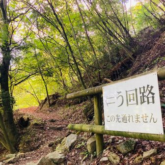 た・き・あ・せ🥵💦
とまらん😩