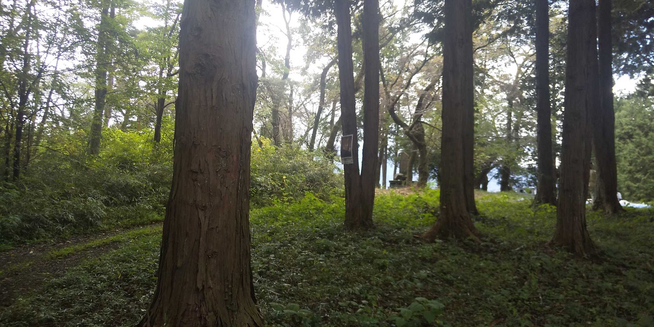 根本山に着きましたが、セラピー教室していたので、静かに退散😊