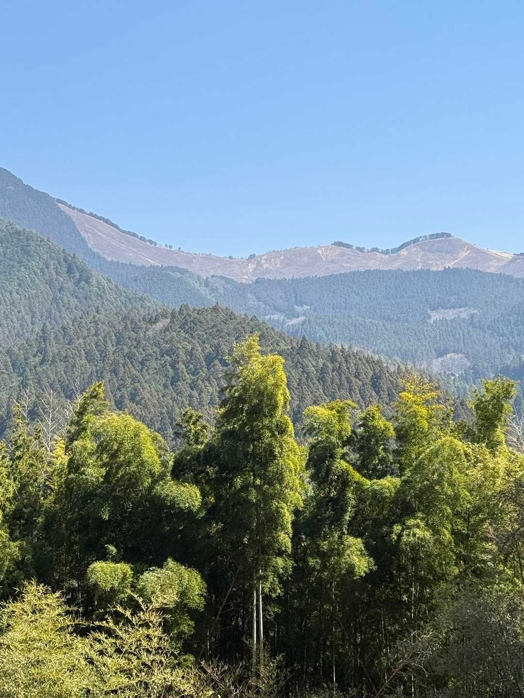 鎧岳の山頂より麓付近の方が曽爾高原は良く見える。