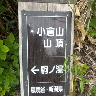 小倉山山頂