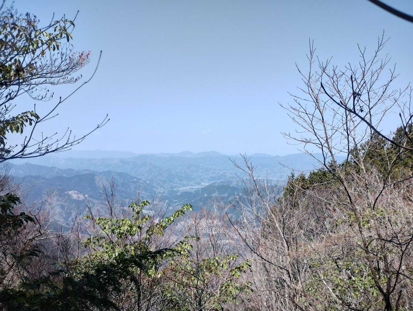 景色が開けた
