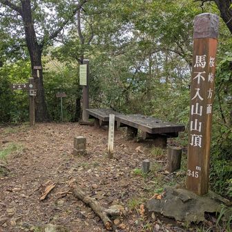 馬不入山（うまいらずさん）