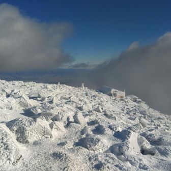 輝く雪が綺麗です