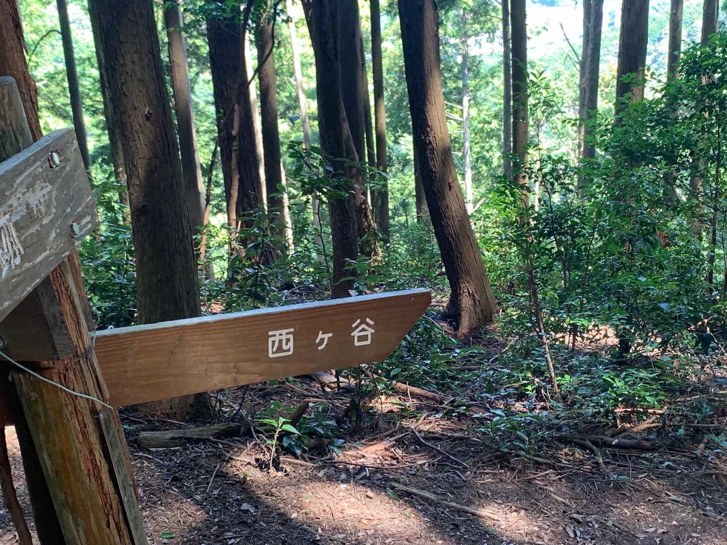 くだり 西ケ谷へ向かいます🏃‍♀️