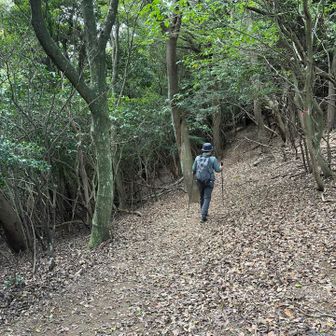 少し薄暗くなってきたので、さっさと降りましょう