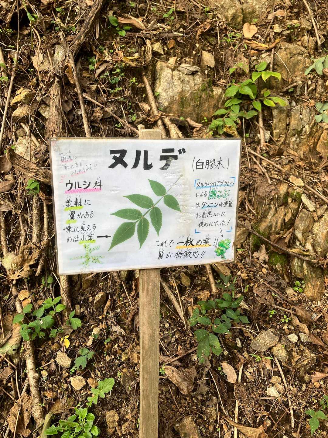 かぶれないよう知識つけないとなー