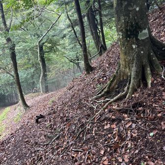 これも　トラバースしながら、と