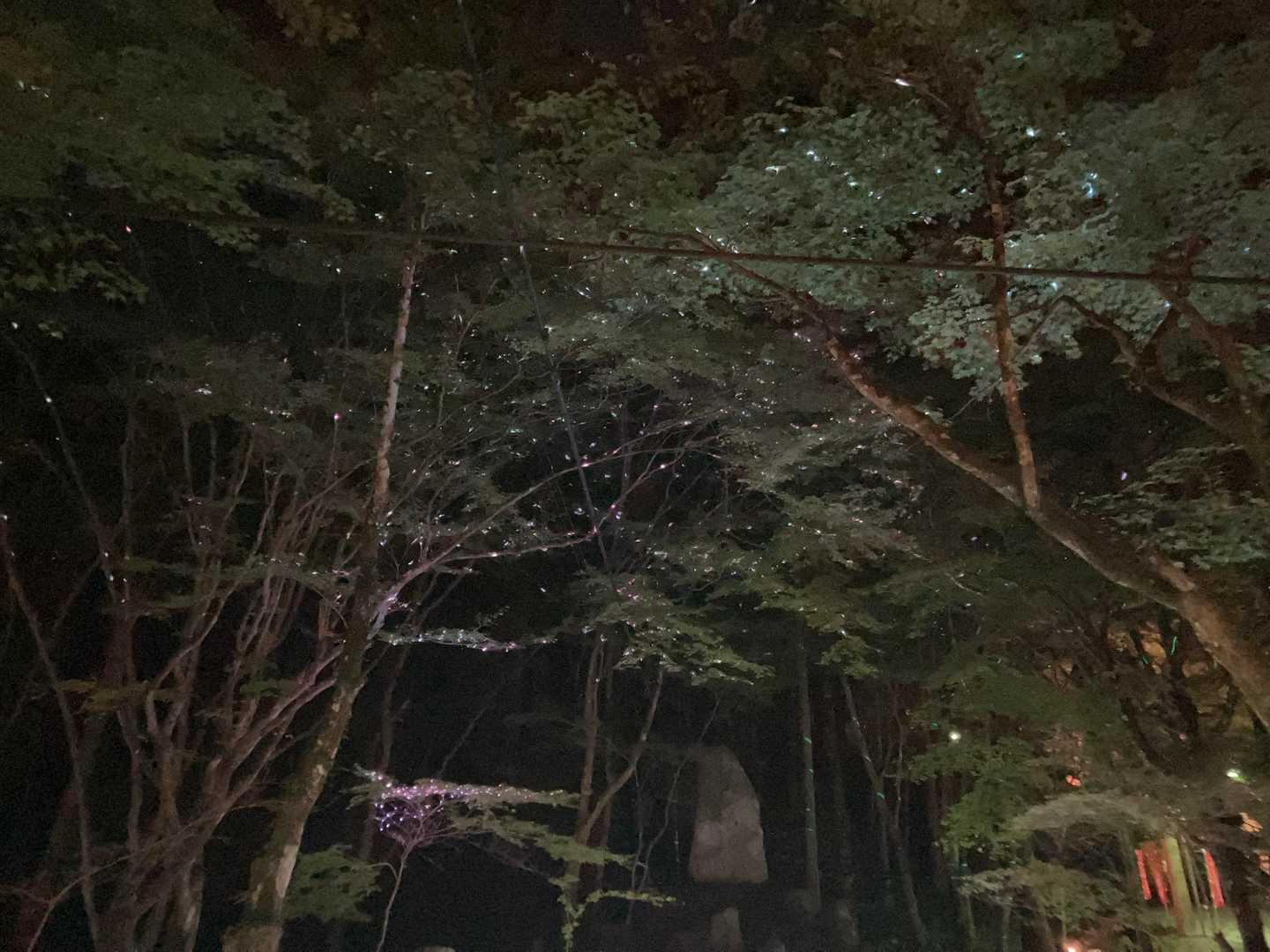 香積寺-飯盛山 縦走コースの写真