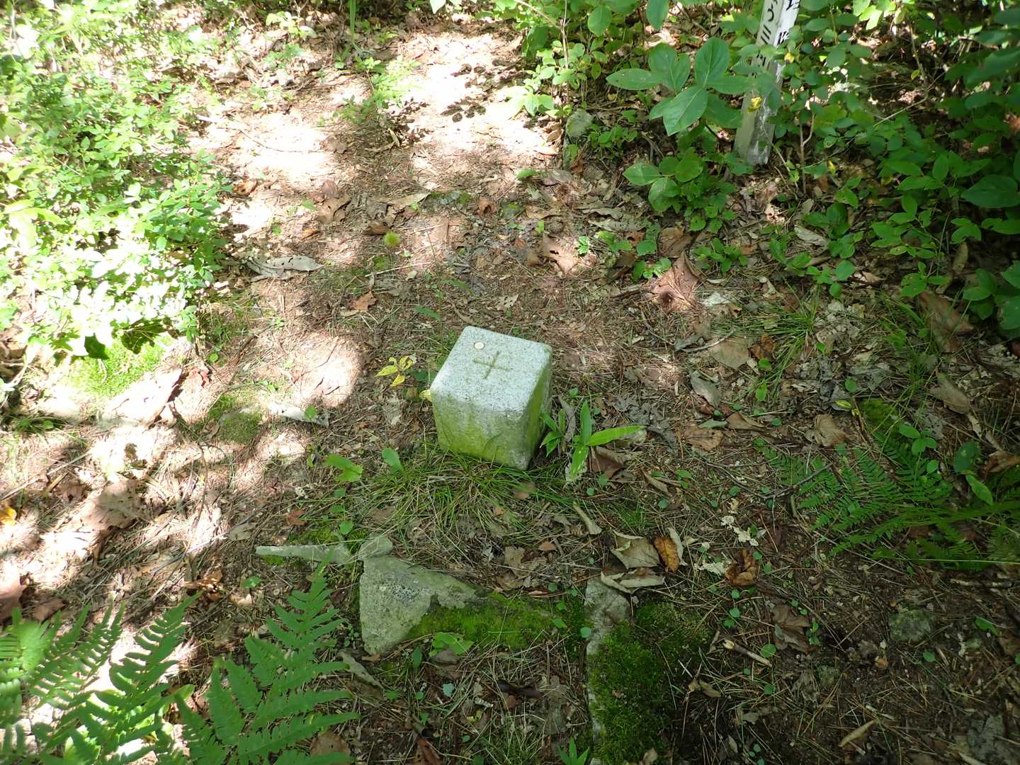 向田瀬バス停-砥森山 往復コースの写真