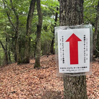 矢印があちこちに！
しばらく遡って歩いてみました🚶
