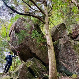 山頂付近はとにかく岩だらけ🪨