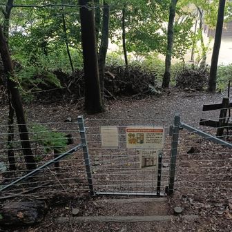 害獣ゲートから公園へ