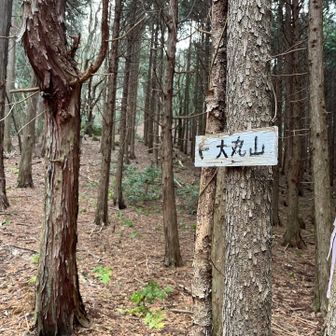 大丸山へ