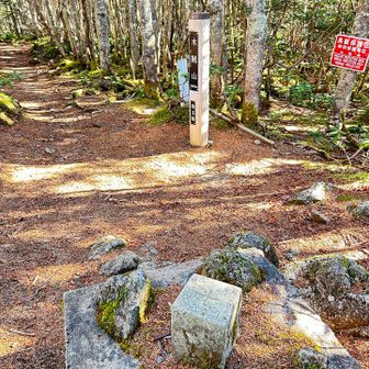 到着
整備された登山道で下山します。

日帰りで雁坂峠まで行く人達はどんなペースでここまできてるのでしょう？