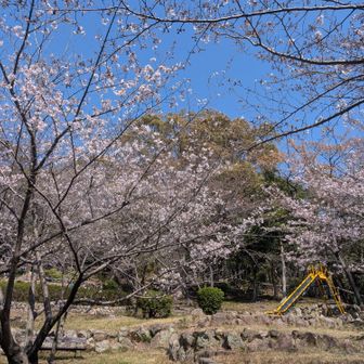 須磨浦公園はひとでいっぱい。ロープウェイに登る人が多いけど、公園の東の方向に向かう人が断然多いですね～