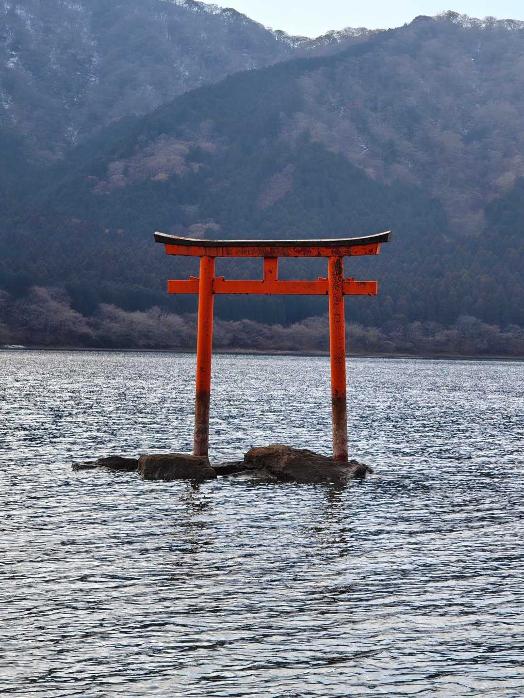 九頭龍神社の湖上鳥居⛩️。