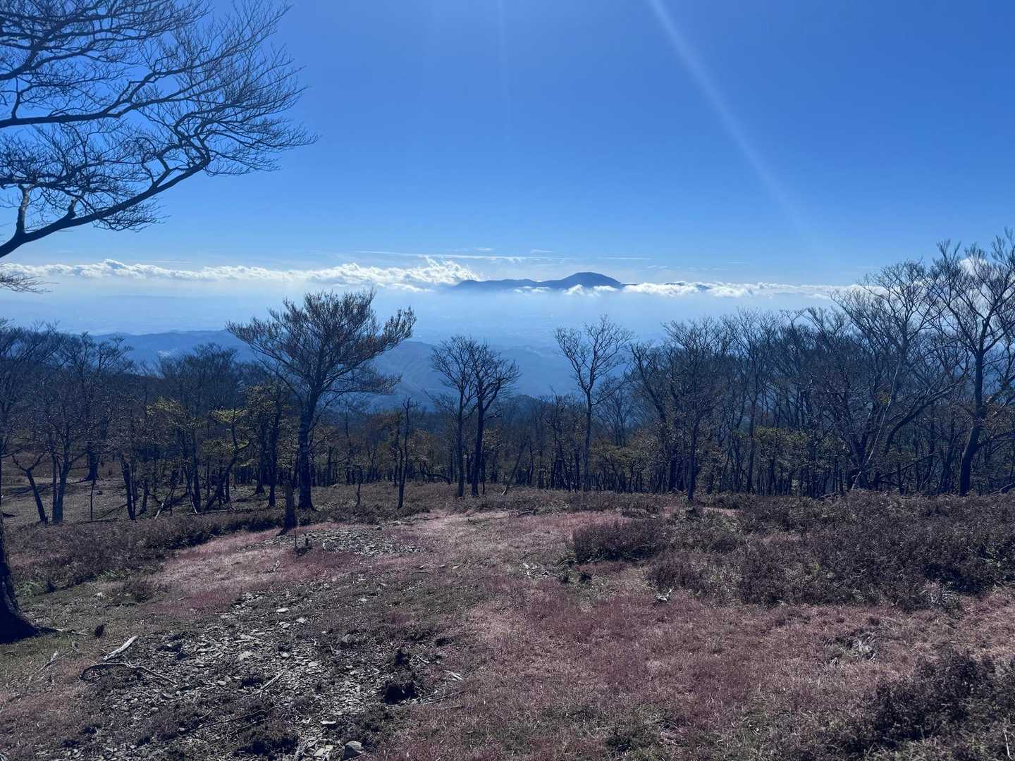 白髪岳新登山口-猪ノ子伏-三池神社-白髪岳-国見山 往復コースの写真