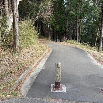 ここは右の道へ