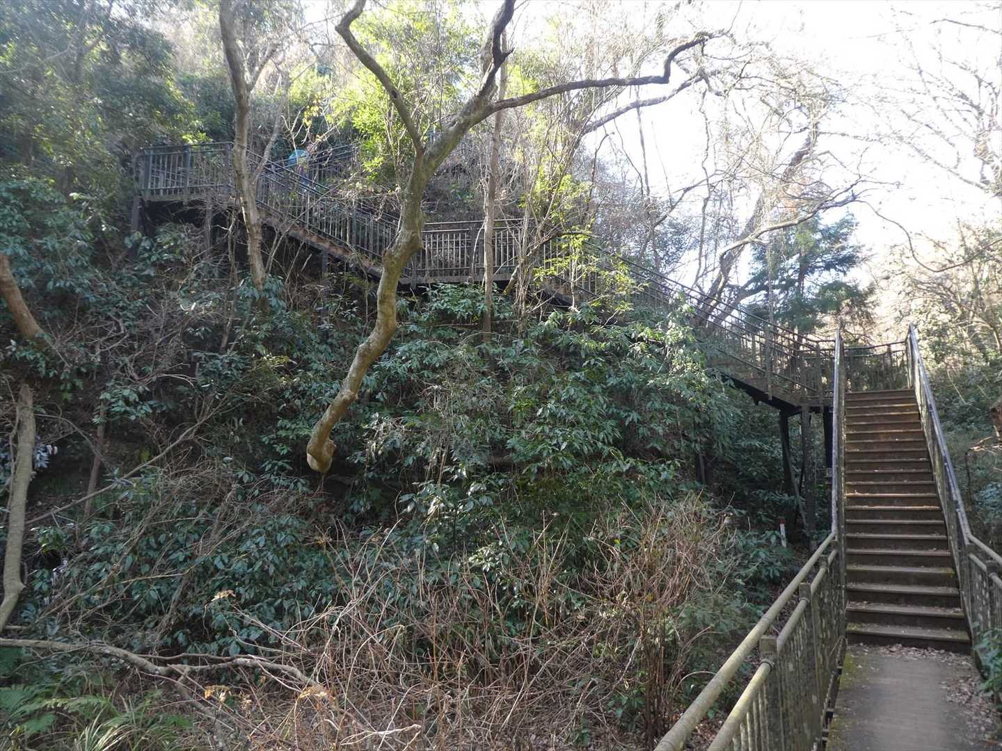 階段を登っていきます