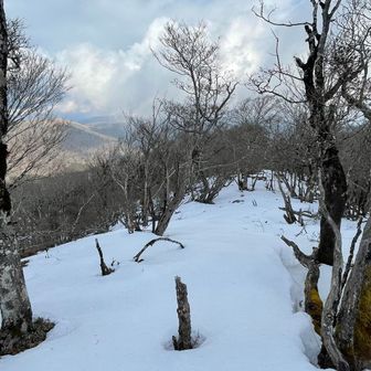 予想外だった雪の量