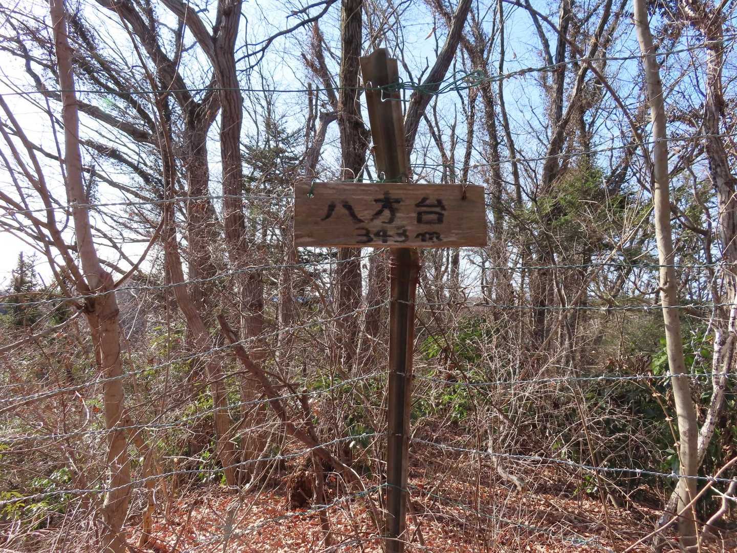 八方台に到着