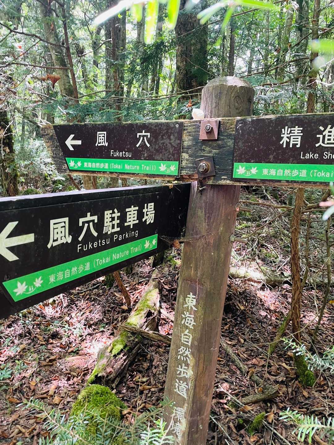 風穴駐車場戻ります