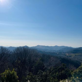 展望台からの景色⛰️✨