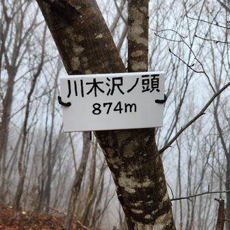 川木沢ノ頭の名札を作ってきました。どうでしょう。