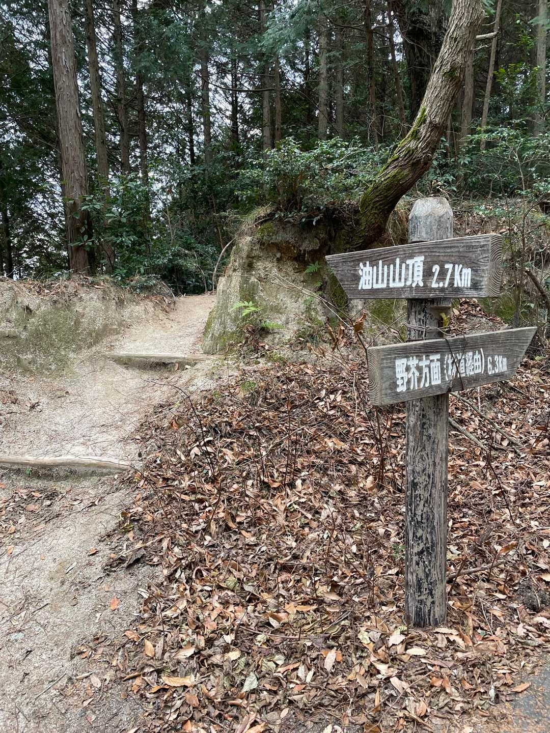 一旦林道に出てまた山道に入ります🥾
