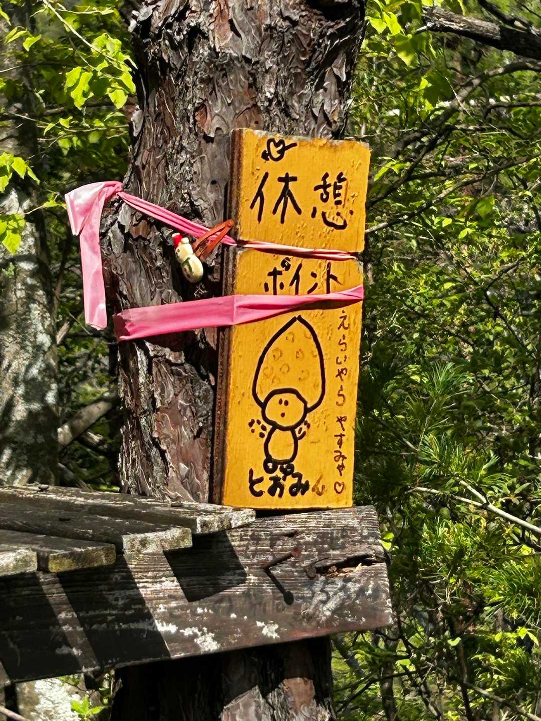 優しい、、地元の方、ありがとうございます😊