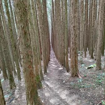 上海マスターズ