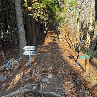 東尾根避難小屋分岐　東尾根登山口へ
